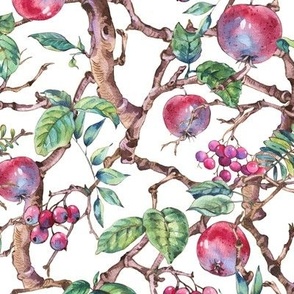 Watercolor apple branches on white