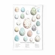 Wild Bird Eggs Banner, Wall Hanging or Tea Towel  