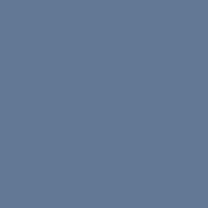 Serenity blue slate blue #647996 plain solid color