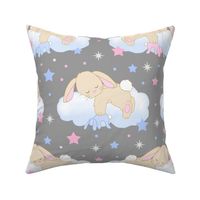 Bunny Sleeping on Cloud with Stars Pink Blue Baby Nursery Large Size 