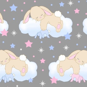 Bunny Sleeping on Cloud with Stars Pink Blue Baby Nursery Large Size 