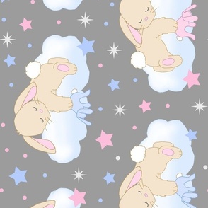 Bunny Cloud Stars Pink Blue Gray Baby Boy Girl Nursery Rotated 