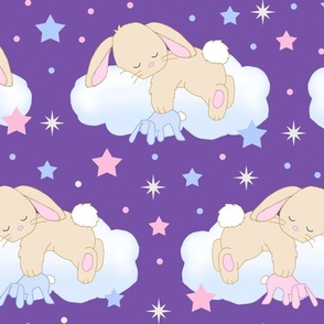 Bunny Sleeping on Cloud with Stars Pink Royal Purple Baby Girl Nursery Large Size 