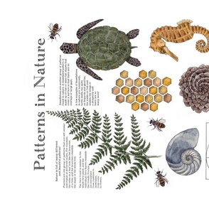 Patterns in Nature Banner, Wall Hanging or Tea Towel    