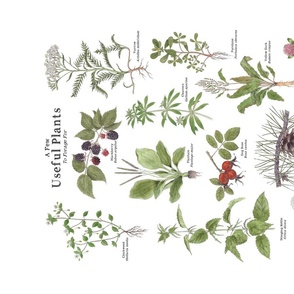 Medicinal Edible Plants to Forage Banner, Wall Hanging or Tea Towel   