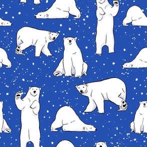 white bears on blue