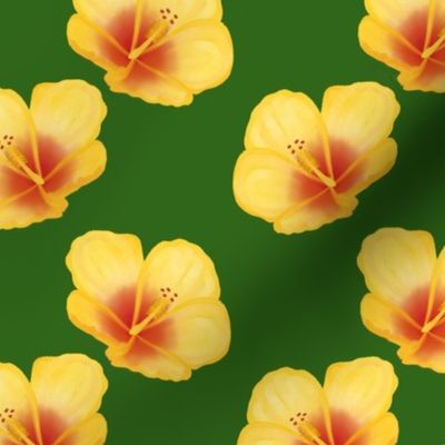 Hibiscus flowers - dark green background