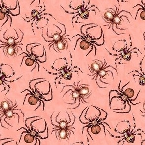 Halloween Spiders Pattern