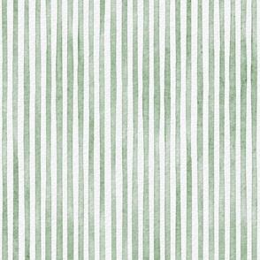 watercolor green stripe - kelly green color - botanical green stripe wallpaper