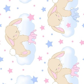 Bunny Cloud Stars Pink Blue Baby Girl Boy Nursery Rotated 90 