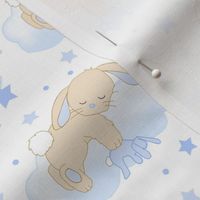 Bunny Rabbit Cloud Stars Blue Baby Boy Nursery Smallest Size 
