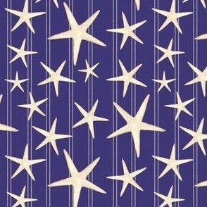 Beach Starfish - Blue