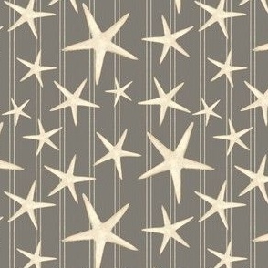 Beach Starfish - Gray