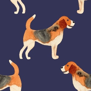 Large hand painted watercolor beagles on navy blue for kids, baby and home decor