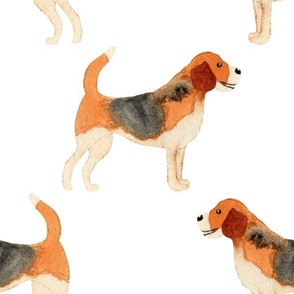 Large hand painted watercolor beagles on white for kids, baby and home decor