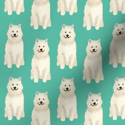 Small Watercolour Samoyed dogs on turquoise