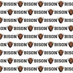 Bison Mascot Text | School Spirit College Team Cheer Collection