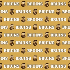 Bruins Mascot Text | White on Gold - School Spirit College Team Cheer Collection