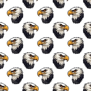 Eagles Hawks Falcon Mascot | School Spirit College Team Cheer Collection