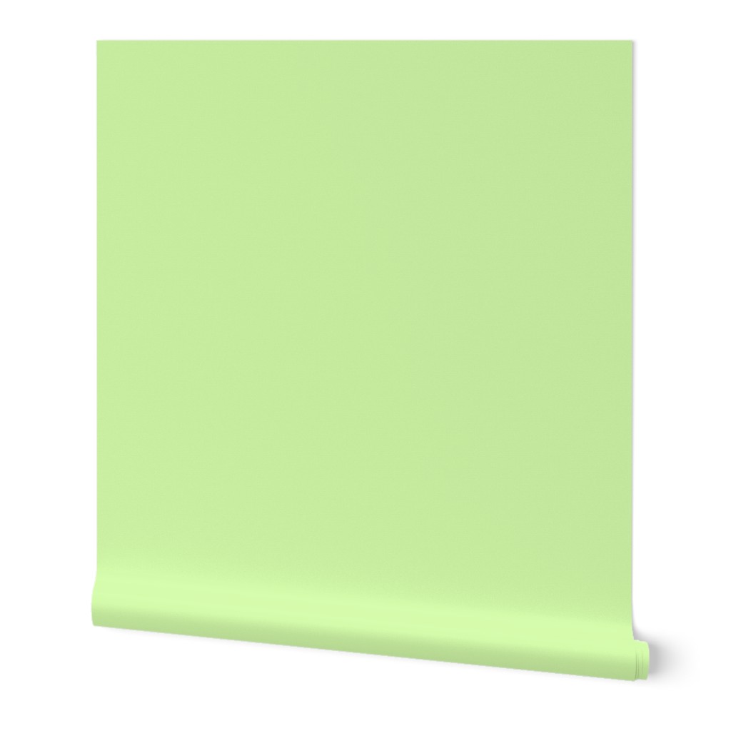 solid pale spring green (D3FAA9)