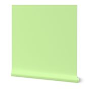 solid pale spring green (D3FAA9)