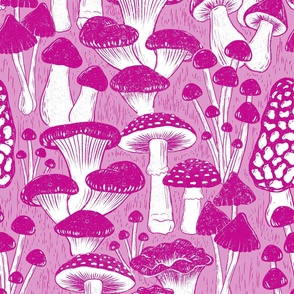 woodland mushrooms  pink 