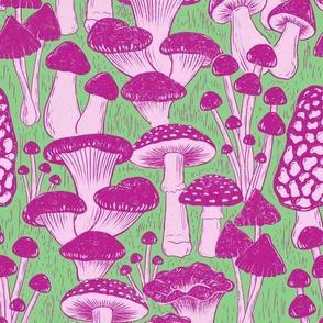 woodland mushrooms green and pink