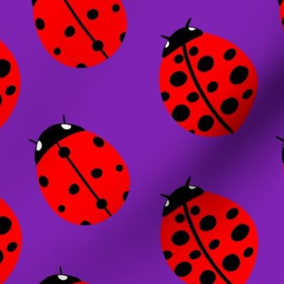 Ladybug - purple