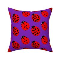 Ladybug - purple