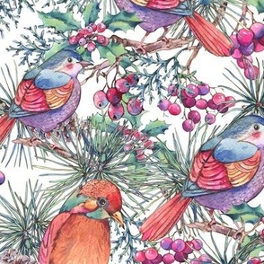 Forest birds with pine tree branches and berries