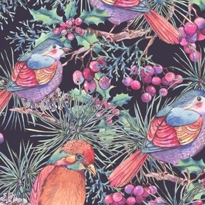 Forest birds with pine tree branches and berries on black