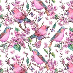 Spring birds with blooming cherry flowers on white