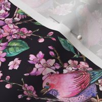 Spring birds with blooming cherry flowers on black