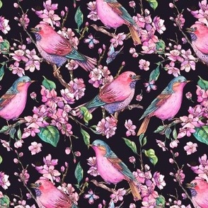 Spring birds with blooming cherry flowers on black