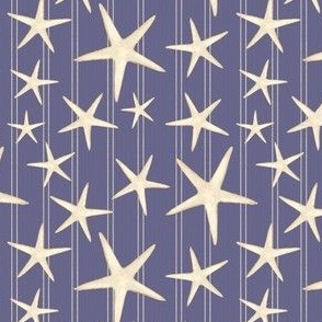 Beach Starfish - Light Blue