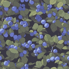 Blueberries at night