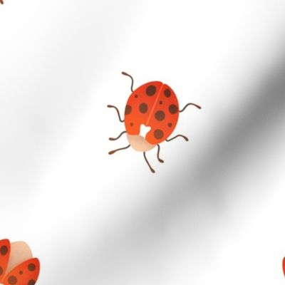 Ladybug - White