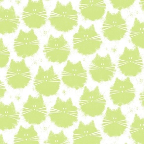cat - fluffer cat honeydew - cute fluffy cats - cat fabric