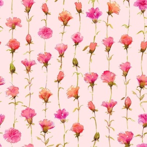 carnation flowers on pink, vertical