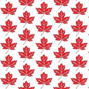 small maple leaf