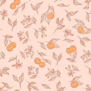 oranges and orange blossoms on pink