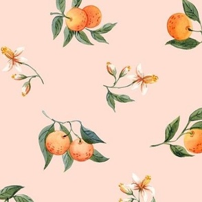 small oranges on pink