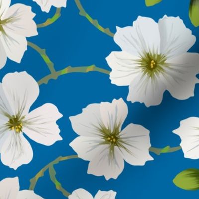 [Large] White Spring Flower on deep blue