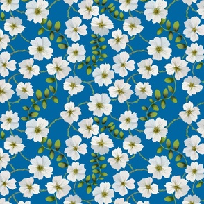 [Medium] White Spring Flower on deep blue