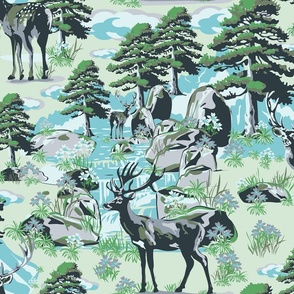 Wild Deer Country Scene, Mountain Snow River Crossing, Moss Green Pine Wood Forest, Evergreen Trees, Rocky Mountain Buck