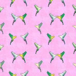 Parakeets in Light Pink