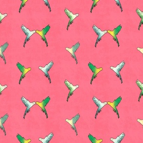 Parakeets in Pink