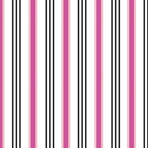 Pink and Black Striped