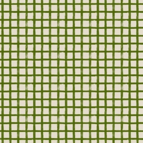Small Green beans checkered// 1 inch squares 