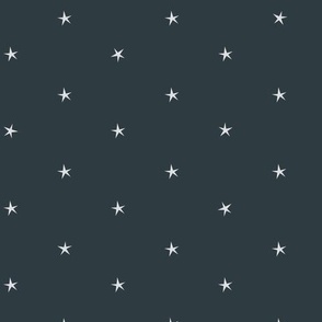 Pattern of stars on a dark blue background.
